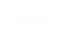 Golang