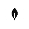 MongoDB
